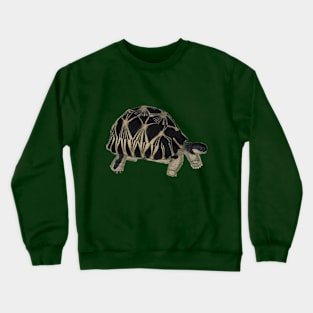 Turtle, Turtle, UP! Crewneck Sweatshirt